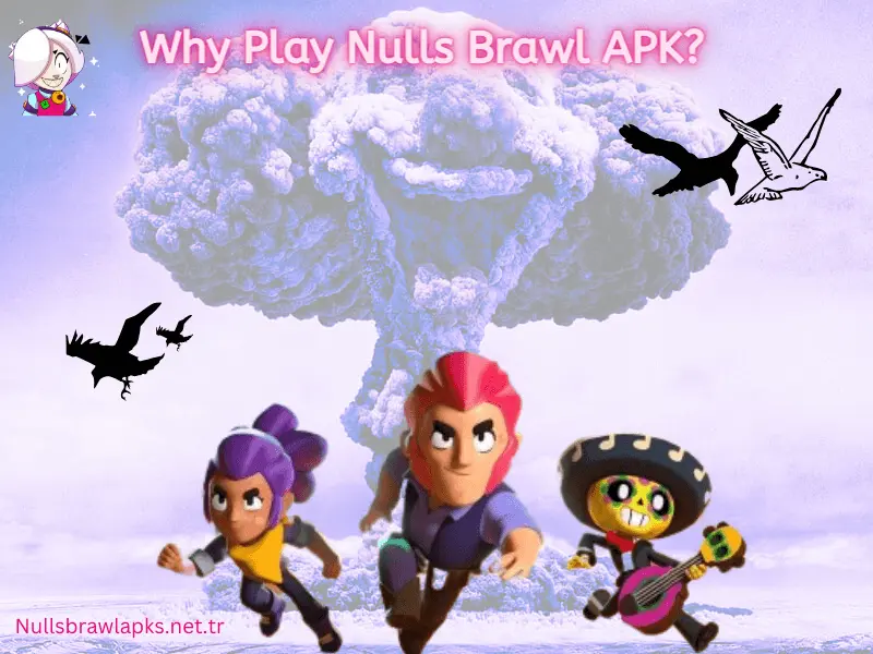 Why play nulls brawl apk latest version